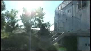 Analyzing Dinosaur Fossils