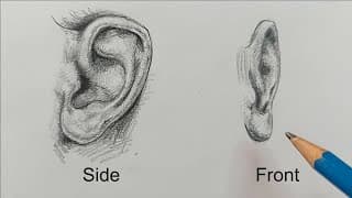 How to Draw Ears | Two Different Views| Step-by-Step Tutorial