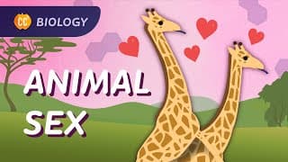 Sexual & Asexual Reproduction: How Animals Do It: Crash Course Biology #47