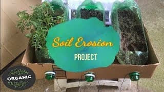 5th grade Science project | Soil Erosion