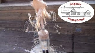 Science - How do different variables affect the Coke and Mentos reaction?