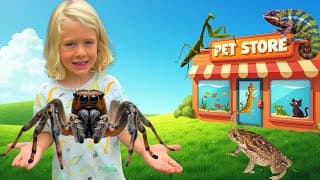JUMPING SPIDER DREAM HOUSE! JuJu Builds a spider Enclosure + Pet Store Adventure for KIDS! 🕷️