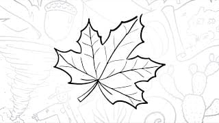🍁 How to Draw a Simple Maple Leaf | Step-by-Step Lesson 🍂