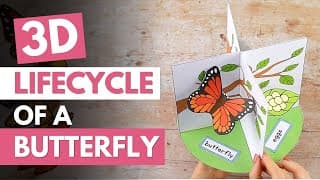 How To Make A 3D Model of Life Cycle Of A Butterfly
