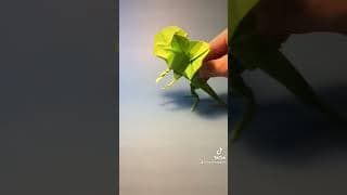 Origami Frilled Lizard (dance)