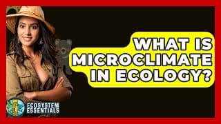What Is Microclimate In Ecology? - Ecosystem Essentials