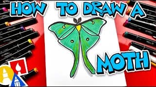 How To Draw A Moth