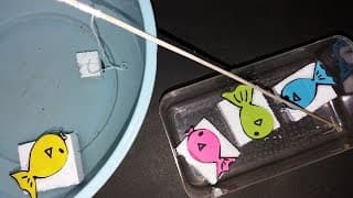 Fishing Game Kit DIY Tutorial (kids activity)