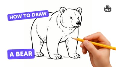 polar bear images drawing easy