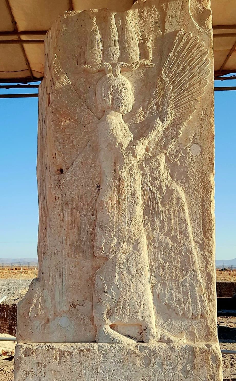 Article illustration