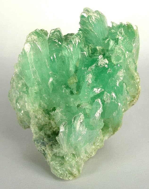 Article illustration