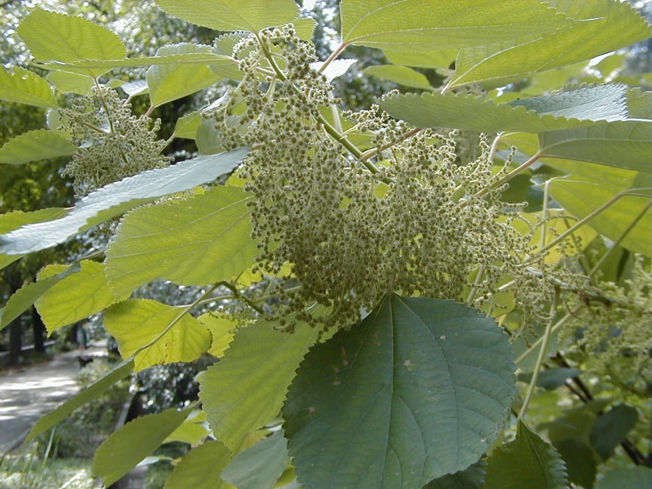 Article illustration