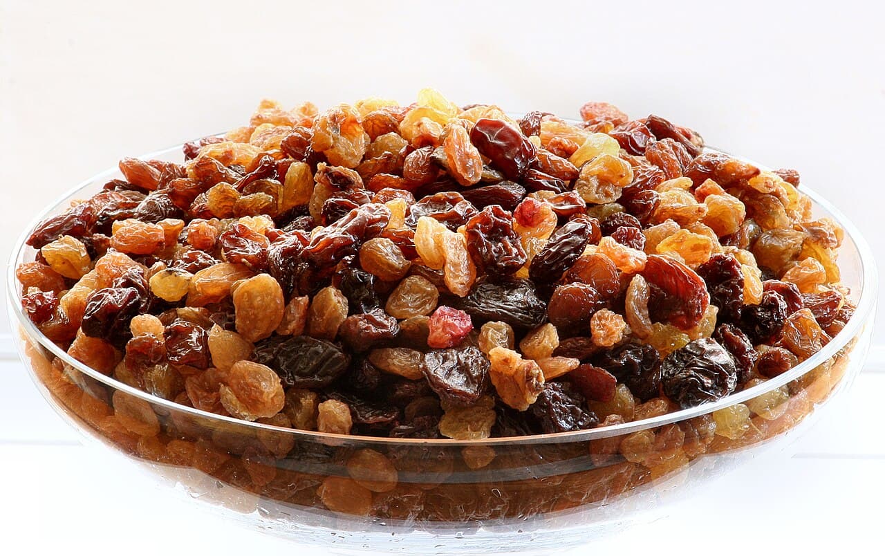 raisin Facts For Kids | DIY.org