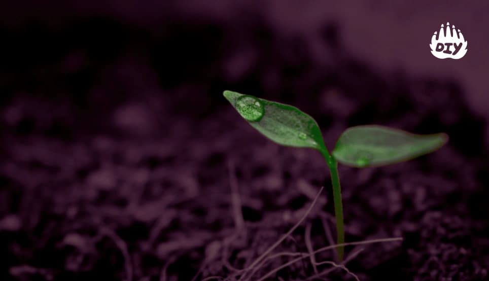 Image for Plant a Mini Garden