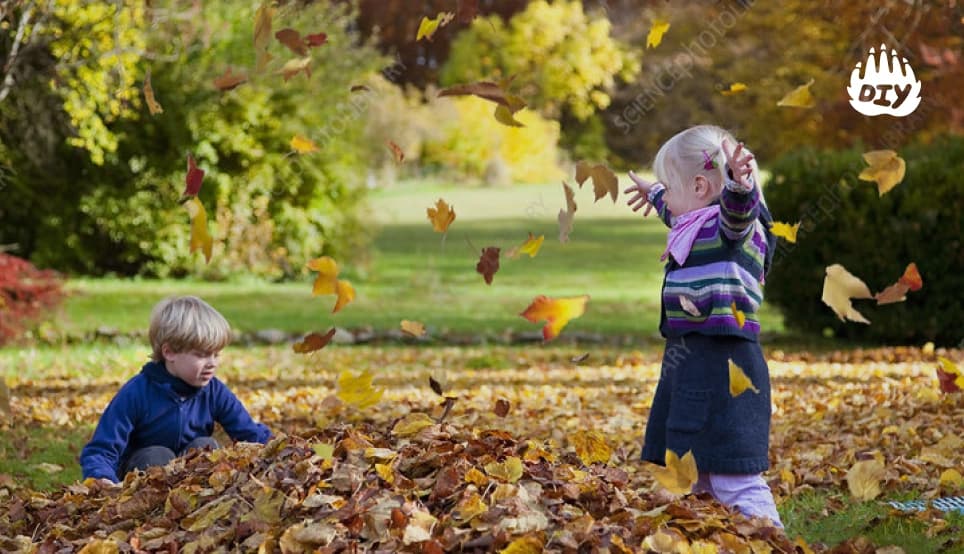 Image for Build a Stick and Leaf Fort