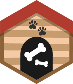 Skill Badge