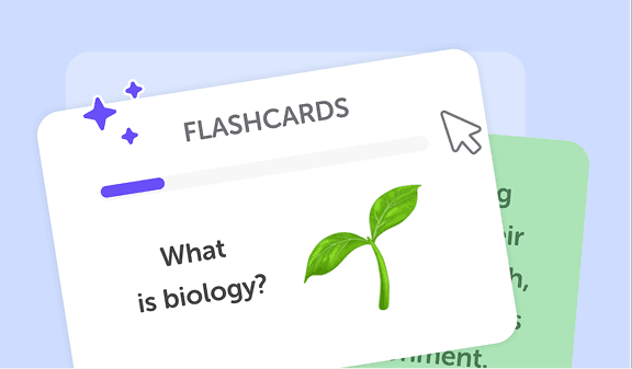 Interactive flashcards