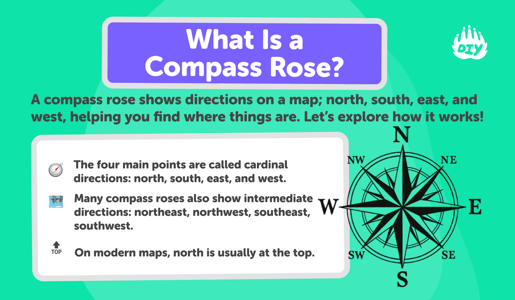 Compass Rose Study Guide What Is a Compass Rose? Easy Explanation for Kids