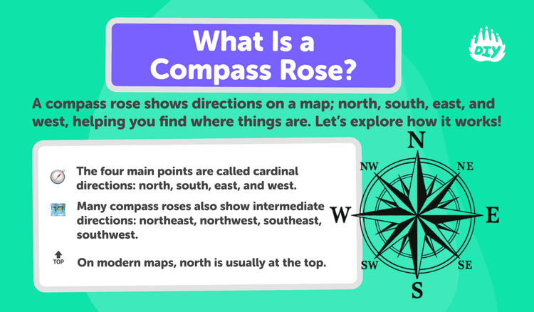 Point System Compass Rose What Is a Compass Rose? Easy Explanation for Kids